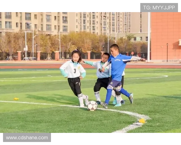 绿茵逐梦激情燃烧看世界足球如何点亮人类共同语言 绿茵逐梦激情燃烧看世界足球如何点亮人类共同语言