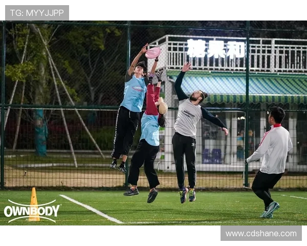 杭州飞盘队灵活性分析与战术创新的深度探讨