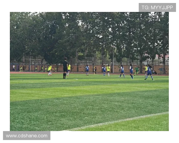 探寻当代杰出足球运动员成长之路与全球赛场竞技风采深度解析之谜 探寻当代杰出足球运动员成长之路与全球赛场竞技风采深度解析之谜